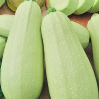 4011_kabachok-beloplodnye-2-g-ser