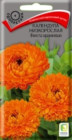 kalendula_nizkoros_fiesta_orange