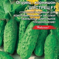 �������������������������������