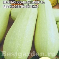 �������������������������������