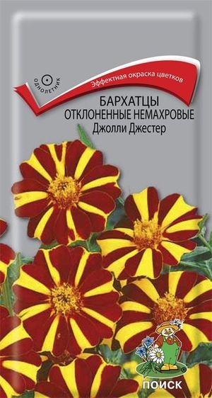 19246