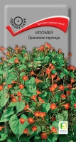 ipomea_orange_girlyanda
