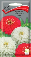 cinnia_izyash_pany cinnia_izyash_pany