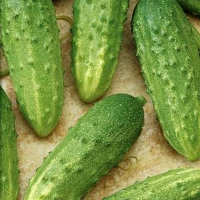 ac9632a1-4d3b-11e6-8470-bc5ff4508b6e_ffe6a3ac-7e5d-11e7-ab69-bc5ff4508b6e-1200x800