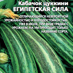 �������-�������-����������-����