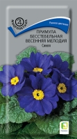 primula_besstebelnaya_vesennya_melodia_sinaya