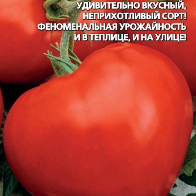 НоменклатураПрисоединенныеФайлы НоменклатураПрисоединенныеФайлы