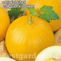 �������������������������������