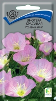 enotera_krasivaya_rozoviy_atlas