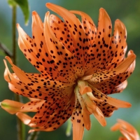 f1_086a95d6-4843-465f-86a6-349e35b487a0 f1_086a95d6-4843-465f-86a6-349e35b487a0