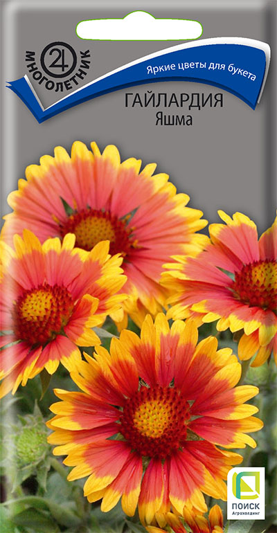 гайлардия яшма гайлардия яшма