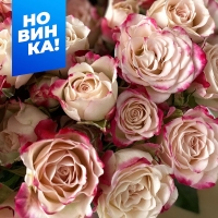 ���� �������