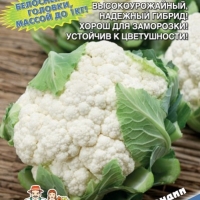 ��������� �������