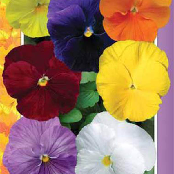 39296bbd3caba3e85653ad49921e3cce