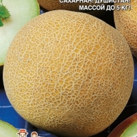 ������� ����