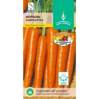 ������� ����������