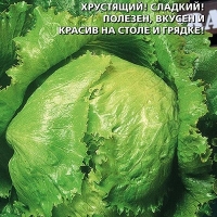 Салат Батавия Салат Батавия