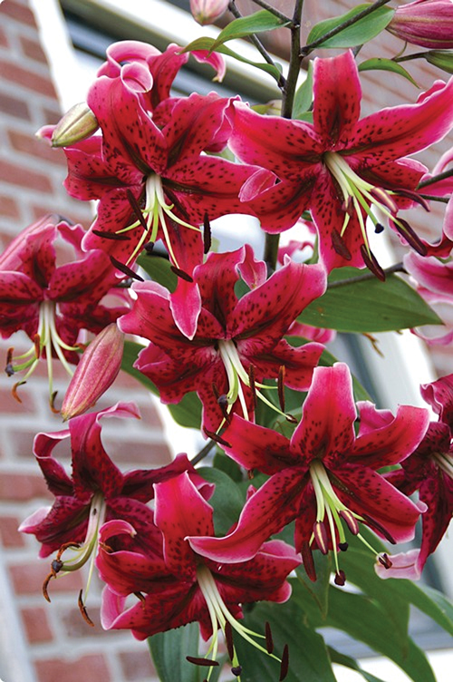 f1_634c129a-272b-436e-868c-f819334a5bff