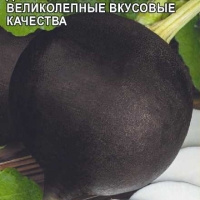 ������ �������� 1 ��.