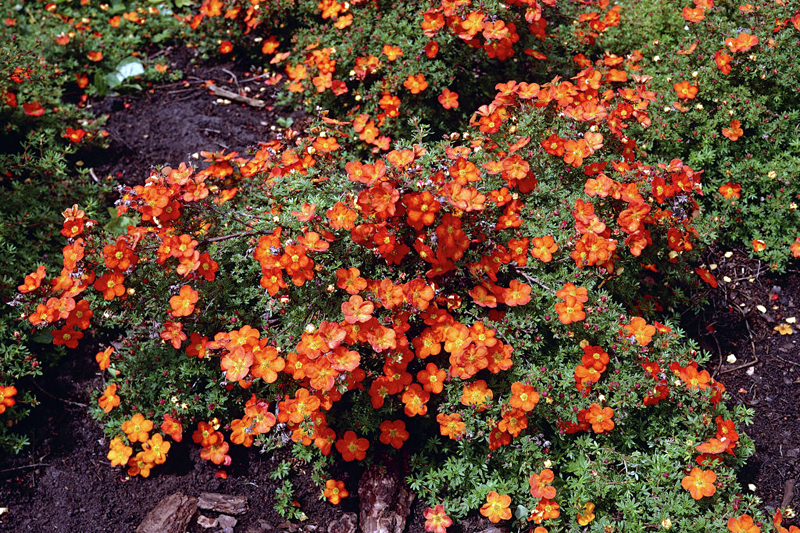 f1_02074a49-6586-41cb-b0b9-97099c660041