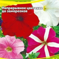 Петуния Гибридная смесь окрасок 0,1 гр. Петуния Гибридная смесь окрасок 0,1 гр.