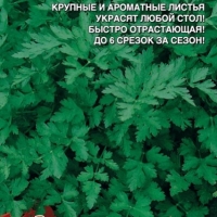 �������������������������������
