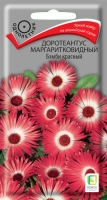 doroteantus_margaritkovid_bamby_krasny doroteantus_margaritkovid_bamby_krasny
