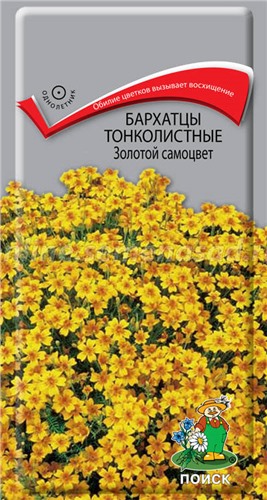 19287