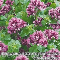 НоменклатураПрисоединенныеФайлы НоменклатураПрисоединенныеФайлы