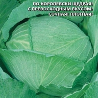 �������  �������� �������� F1