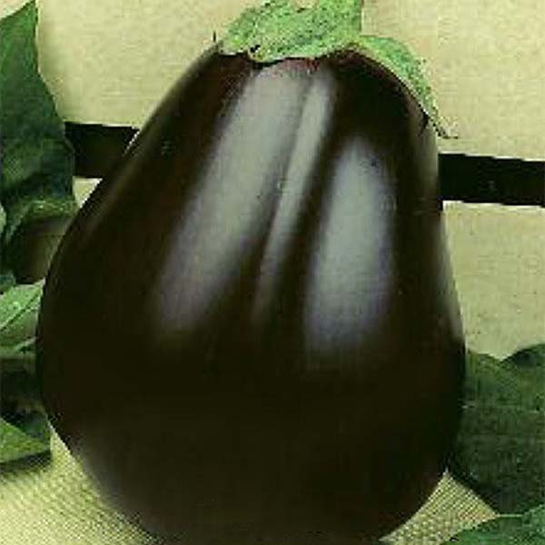 223073_1_32a174f956b58407c81934cf3f82703a