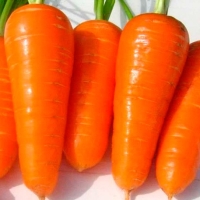 ������� ����� 2��