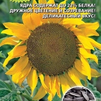 Подсолнечник На семечки Подсолнечник На семечки