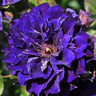 НоменклатураПрисоединенныеФайлы НоменклатураПрисоединенныеФайлы