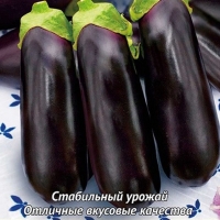 Баклажан Чёрный опал Баклажан Чёрный опал