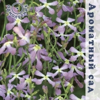 �������� �������� �������