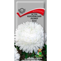 ����� ����������� ������ �����