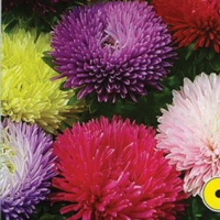 ����� �������  �� 19029