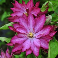 НоменклатураПрисоединенныеФайлы НоменклатураПрисоединенныеФайлы