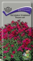гвоздика флеш поинт гвоздика флеш поинт