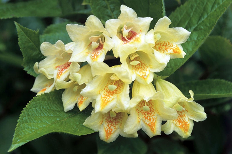 f1_a114c6e3-beaa-4d68-86ee-3fbb54f57c53