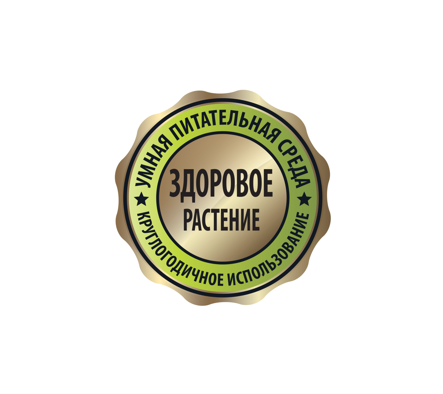 ������������ ������� ���� ���� ���