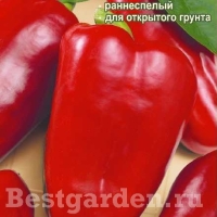 ����� ������� �������� 0,2 ��.