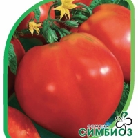 сердце оригинальное сердце оригинальное