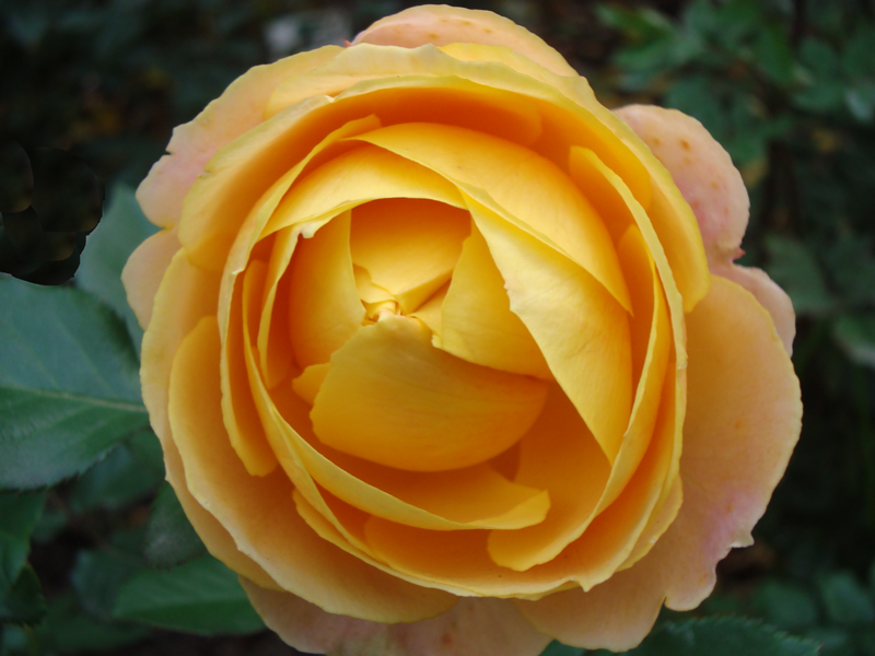 f1_83ca0baa-b839-4390-ba0a-693eea4732a9 f1_83ca0baa-b839-4390-ba0a-693eea4732a9