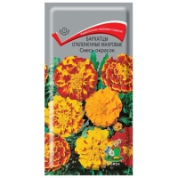 �������������������������������