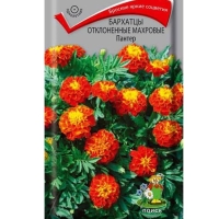 Пантер Пантер