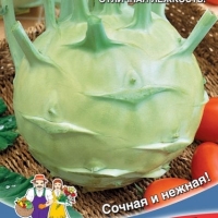 �������������������������������