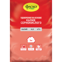 fasko_u_ks1-1000x1340