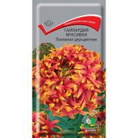 гайлардия лолипап гайлардия лолипап